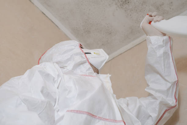 Best Toxic Mold Removal  in Goodwater, AL