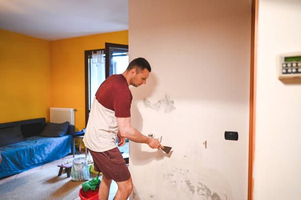Best Fast Mold Removal  in Goodwater, AL