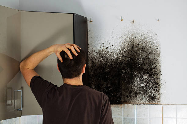 Goodwater, AL Mold Removal Company